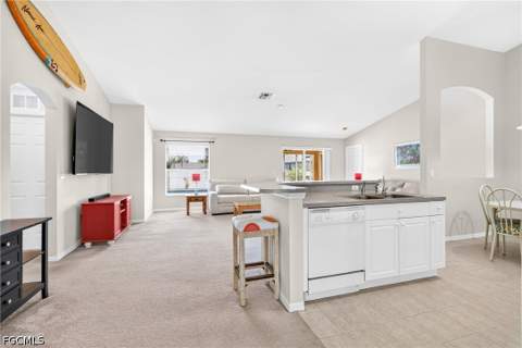 317 NE 9th Ter, Cape Coral FL - photo 10 of 39