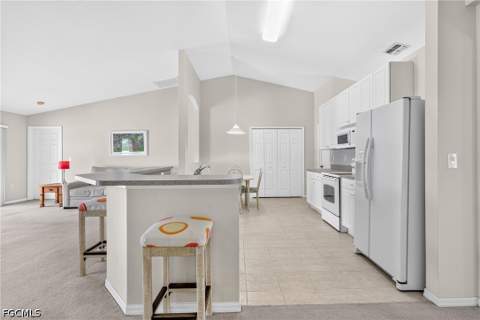 317 NE 9th Ter, Cape Coral FL - photo 16 of 39