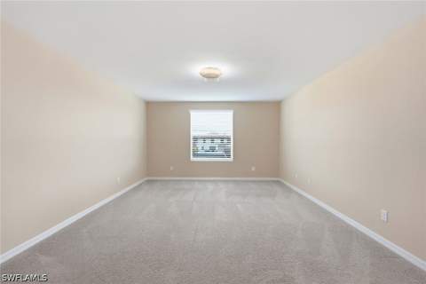 4381 Madagascar Palm Way, Naples FL - photo 24 of 42
