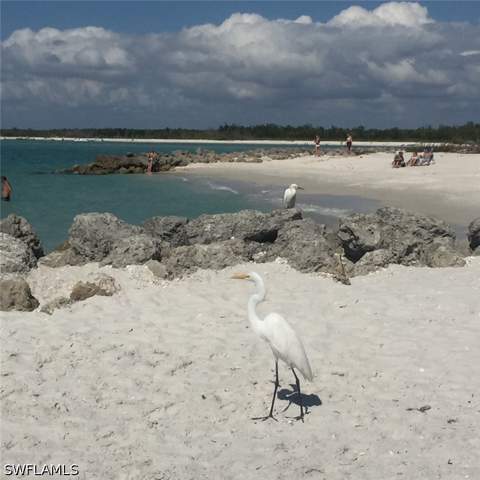 26000 Hickory Blvd 705, Bonita Springs FL - photo 15 of 44