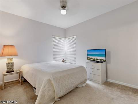 10261 Maddox Ln 513, Bonita Springs FL - photo 24 of 34