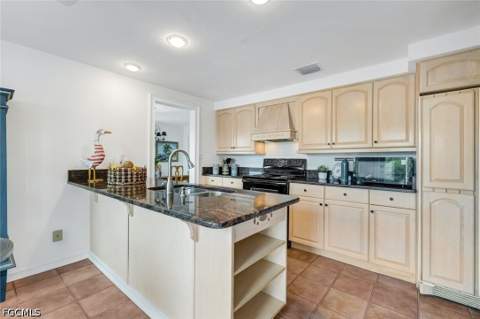 17036 Marina Cove Ln, Fort Myers FL - photo 12 of 43