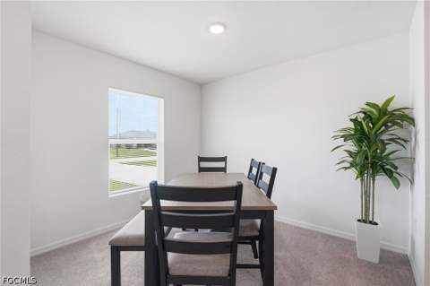 811 Coffield Ave, Lehigh Acres FL - photo 23 of 48