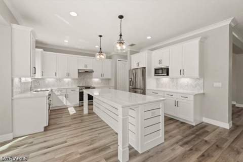 11103 Sparkleberry Dr, Fort Myers FL - photo 11 of 45