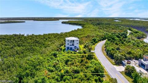 1065 Blue Hill Creek Dr, Marco Island FL - photo 11 of 26