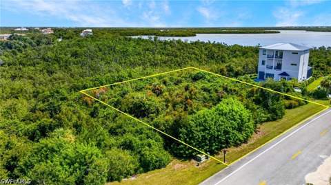 1065 Blue Hill Creek Dr, Marco Island FL - photo 18 of 26