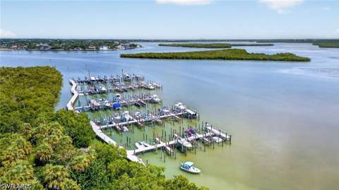1065 Blue Hill Creek Dr, Marco Island FL - photo 19 of 26