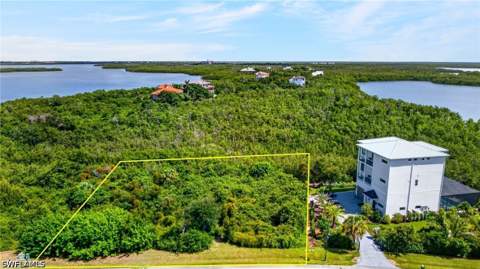 1065 Blue Hill Creek Dr, Marco Island FL - photo 9 of 26