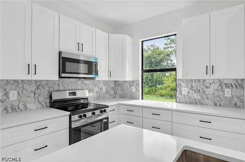 553 McArthur Blvd, Lehigh Acres FL - photo 11 of 30