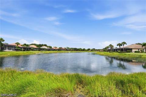26443 Doverstone St, Bonita Springs FL - photo 9 of 33