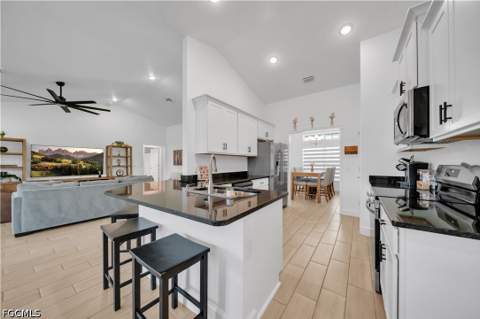 125 SE 11th Ter, Cape Coral FL - photo 16 of 50