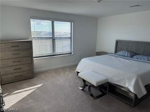 18227 Ridgeline Dr, Estero FL - photo 19 of 29