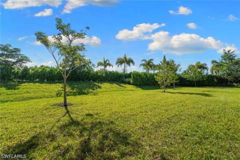 12445 Dahlia Ct, Naples FL - photo 11 of 27