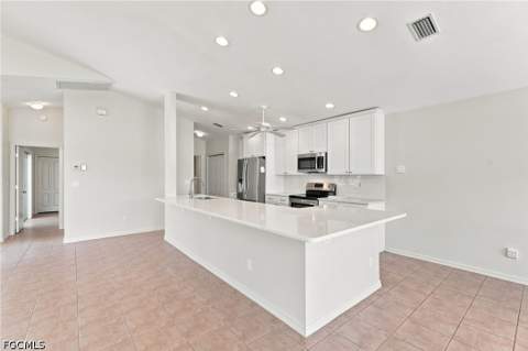 17518 Plumera Ln, North Fort Myers FL - photo 6 of 49