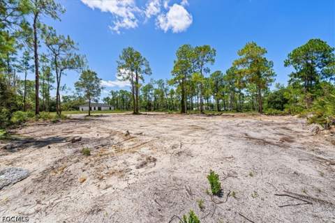 7644 19th Ter, Labelle FL - photo 20 of 25