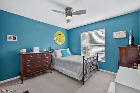 11071 Linnet Ln, Naples FL - photo 22 of 48