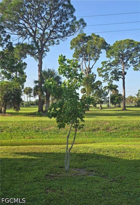 881 Homestead Dr, North Fort Myers FL - photo 18 of 27