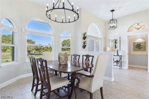 18220 Riverchase Ct, Alva FL - photo 10 of 49