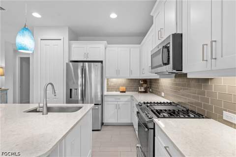 4233 Watercolor Way, Fort Myers FL - photo 18 of 50