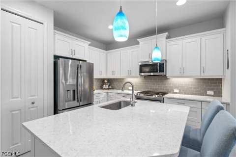 4233 Watercolor Way, Fort Myers FL - photo 20 of 50