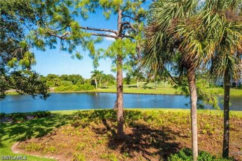 26991 Clarkston Dr 8202, Bonita Springs FL - photo 19 of 20