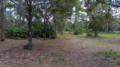 470 S Jinete St, Clewiston FL - photo 19 of 22