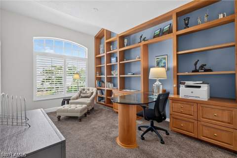 3852 Clipper Cove Dr, Naples FL - photo 18 of 50