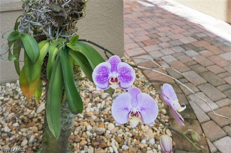 3 bedroom Condominium at 20040 Seagrove St 1606, Sabal Palm, Estero — photo 4
