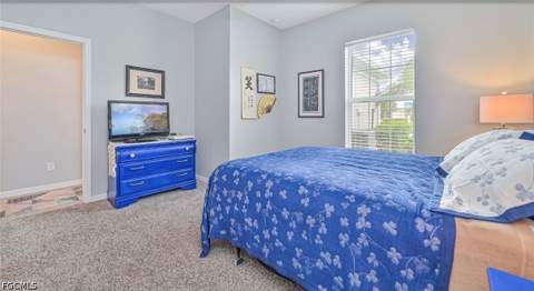 2703 Vareo Ct N, Cape Coral FL - photo 20 of 39