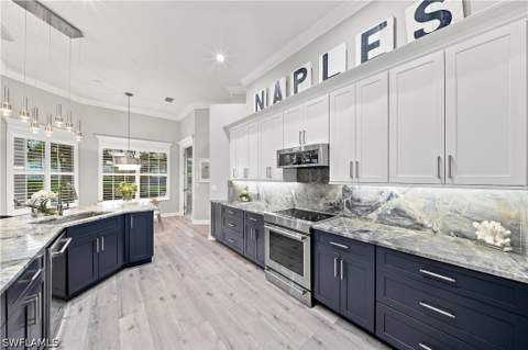 8806 Spinner Cove Ln, Naples FL - photo 13 of 50