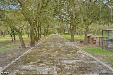 255 C Rd, Labelle FL - photo 17 of 21