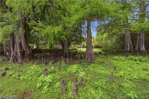 5681 Bur Oaks Ln, Naples FL - photo 7 of 27