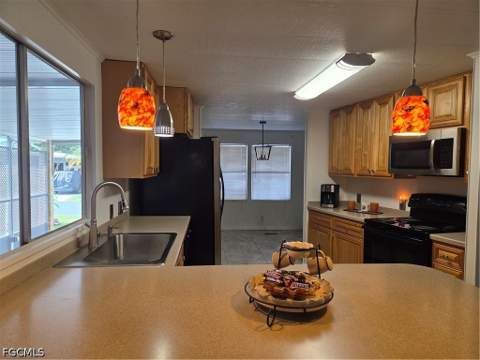 613 Friendly Pl, North Fort Myers FL - photo 10 of 42