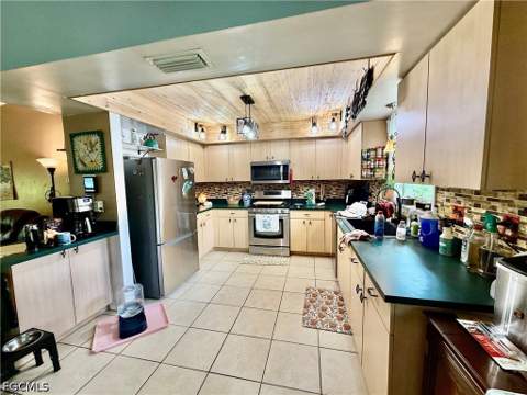 325 Wellington Ave, Lehigh Acres FL - photo 6 of 42