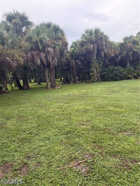 401 Hibiscus Ave, Lehigh Acres FL - photo 9 of 15