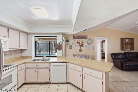 338 SE 46th Ln, Cape Coral FL - photo 10 of 27