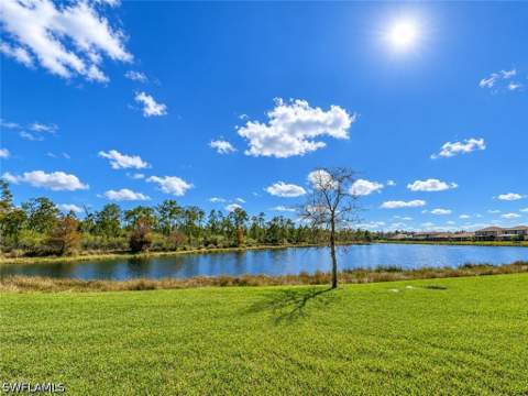 21718 Bella Terra Blvd, Estero FL - photo 10 of 45