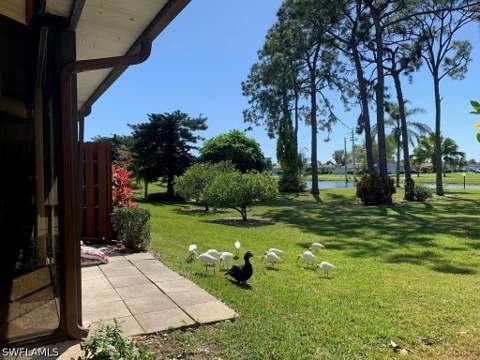 2037 Pine Isle Ln 2037, Naples FL - photo 7 of 48