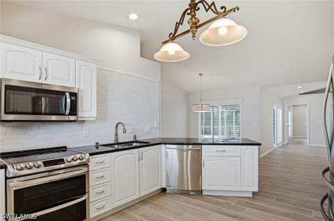 25273 Moriah Ln, Bonita Springs FL - photo 10 of 48