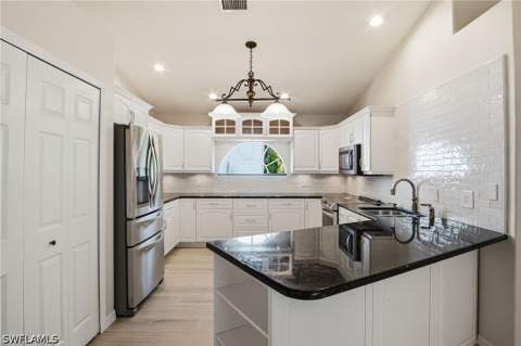 25273 Moriah Ln, Bonita Springs FL - photo 8 of 48