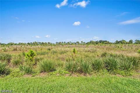 19540 Hinkley Dr, Estero FL - photo 24 of 69