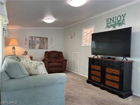 433 Cheetah Dr 433, Naples FL - photo 10 of 50