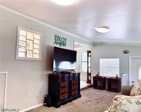 433 Cheetah Dr 433, Naples FL - photo 12 of 50