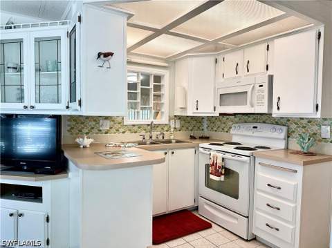 433 Cheetah Dr 433, Naples FL - photo 16 of 50