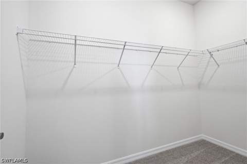 16927 Squirrel Branch Ln, Alva FL - photo 22 of 50