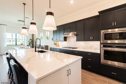 20370 Napa Loop, Estero FL - photo 8 of 40