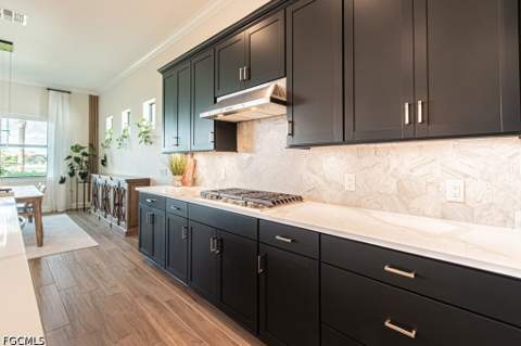 20370 Napa Loop, Estero FL - photo 9 of 40