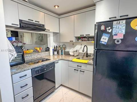 2930 Point East Dr E109, Aventura FL - photo 8 of 60