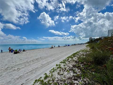 5445 Collins Ave Th-11, Miami Beach FL - photo 9 of 24