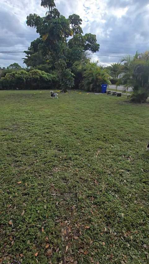 1300 NE 182nd Street, North Miami Beach FL - photo 19 of 20